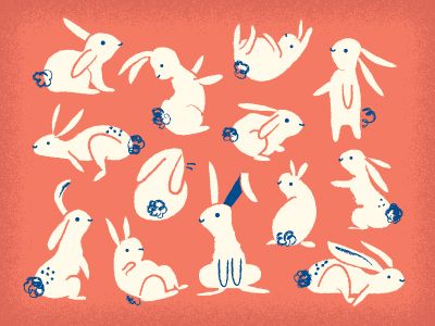 Rabbit Illustration, White Rabbits, Rabbit Art, Bunny Art, Art And Illustration, Childrens Illustrations, Pattern Illustration, Book Illustration, Cute Illustration