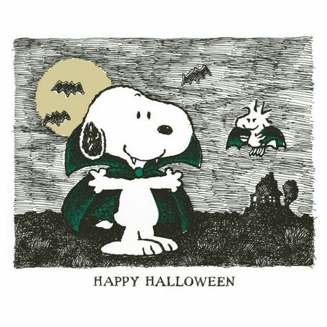 Charlie Brown Halloween, Peanuts Halloween, Snoopy Halloween, Peanuts Cartoon, Snoopy Pictures, Snoop Dog, Snoopy Love, Charlie Brown Peanuts, Charlie Brown And Snoopy