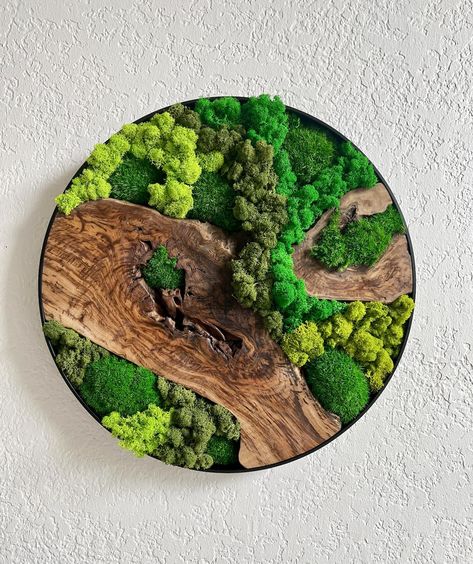 PRICES MAY VARY. Preserved Moss Wall Art: A stunning natural wall display with real wood Versatile Wall Decor: The natural beauty of this moss wall art makes it a versatile decoration that can be used in any room of your home or office. It's also perfect for gift-giving, including as a holiday gift or Secret Santa gift Handmade with natural wood and real preserved moss Stress-Relieving Each Moss Art piece is carefully handcrafted, ensuring its unique character and charm. As a result, your Moss A Preserved Moss Wall Art, Wall Art Circle, Preserved Moss Wall, Succulent Wall Art, Moss Wall Art, Moss Art, Grand Art Mural, Succulent Wall, Preserved Moss