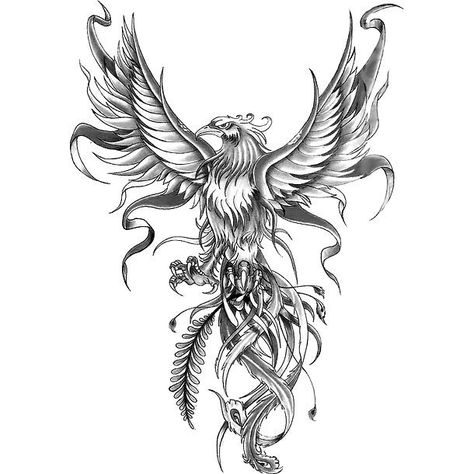 The phoenix is generally thought to be a symbol of freedom. Color: Gray. Tags: Cool, Awesome Phoenix Tattoo Men, Japanese Phoenix Tattoo, Bird Tattoo Men, Phoenix Bird Tattoos, Throat Tattoo, Kunst Tattoos, Phoenix Tattoo Design, Tattoo Zeichnungen, Phoenix Design