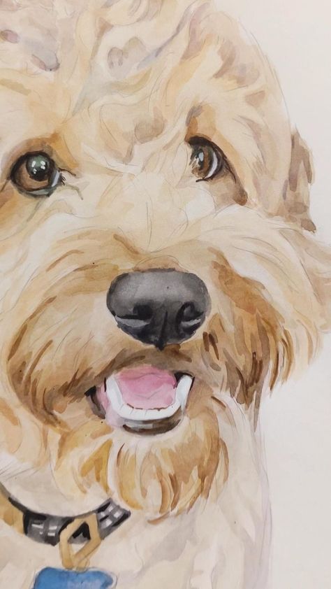 Labradoodle Watercolor, Labradoodle Painting, Labradoodle Drawing, Portrait Painting Watercolor, Labradoodle Art, Goldendoodle Art, Dogs Watercolor, Dog Portrait Drawing, Dog Watercolor Painting