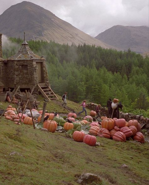 Fall Vibes Harry Potter, Harry Potter Photos Aesthetic, Harry Potter In Prisoner Of Azkaban Aesthetic, Halloween Harry Potter Aesthetic, Halloween Films Aesthetic, Harry Potter Aesthetic Halloween, Scary Fall Aesthetic, Harry Potter Phone Aesthetic, Harry Potter Night Aesthetic