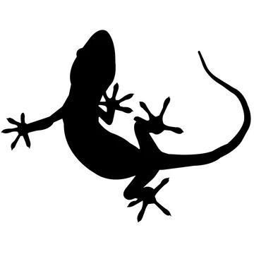 Gecko silhouette stock photos, royalty-free images, vectors, video Gecko Silhouette, Mid Century Wall Art, Silhouette Images, Silhouette Free, Gecko, Adobe Stock, Royalty Free Images, Free Images, Insects