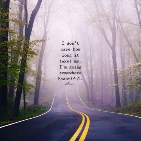 Trees, I Don't Care, A Quote, Positive Vibes, Personal Growth, Good Morning, Take That, Forest, Road