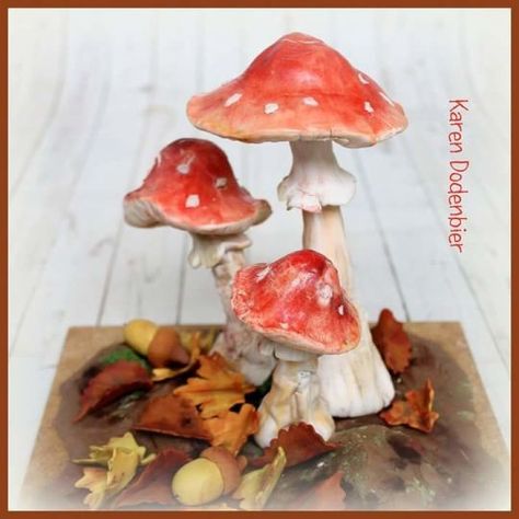 Fondant Mushrooms, Woodland Cakes, Toadstool Cake, Fairytale Birthday Party, Baileys Cake, Nature Cake, Mushroom Cake, Incredible Cakes, Birthday Cake For Mom