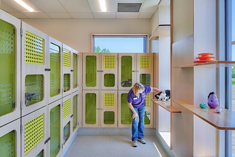 Michigan Animal Rescue League / PLY+ | ArchDaily Animal Rescue Facility, Animal Rescue Center, All About Animals, Dog Rescue, Animal Rescue, Michigan, Animals