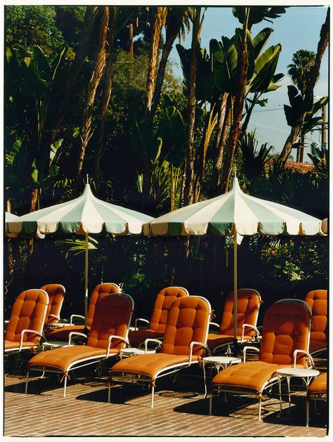 CANTINA — quentindebriey: Chateau Marmont feb’19 Comer See, Chateau Marmont, Mai Tai, Banquette, Lounge Chairs, Palm Springs, Provence, Patio Umbrella, Outdoor Spaces