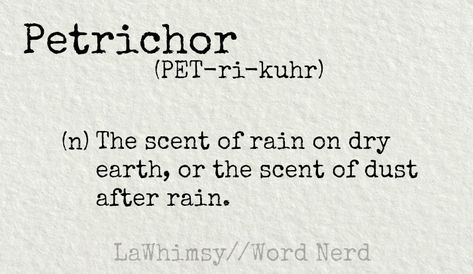 Petrichor Tattoo, Petrichor Aesthetic, First Rain, Dark Naturalism, Wise Person, Word Nerd, Word Definitions, River House, Writing Ideas