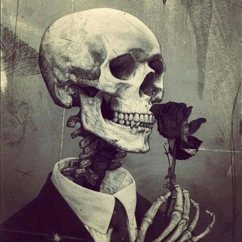 Smell the rose Dark Flowers, Skeleton Art, A Skeleton, Skulls And Roses, Flower Skull, Art And Illustration, Skull And Bones, Gothic Art, Skull Art