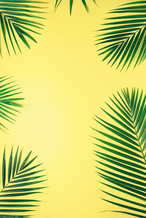 Pastel Yellow Background, Palm Background, Banner Frame, Background Minimal, Social Media Branding Design, Nature Iphone Wallpaper, Tropical Background, Tropical Palm Leaves, Leaf Background