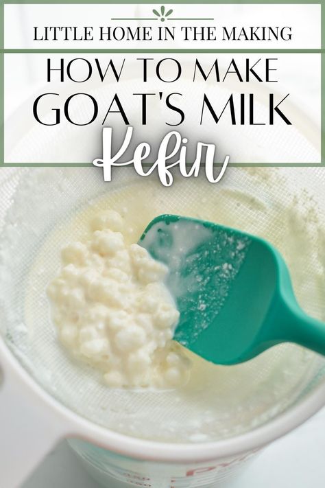 If you're looking for a healthy and delicious way to get more probiotic health benefits, drinking kefir (or adding it to smoothies) is a great way to do that. This goat's milk kefir recipe is easy to make, and perfect for those who are sensitive to dairy OR have access to goats milk. Whether you want to make raw goat's milk kefir or use a store bought milk, this recipe will show you how to make kefir so you can have this superfood at home. A budget friendly way to work in more fermented foods. Milk Kefir Recipes, Milk Kefir Grains, Fermented Dairy, Kefir Recipes, Kefir Grains, Milk Kefir, Plastic Utensils, Goats Milk, Fermented Foods