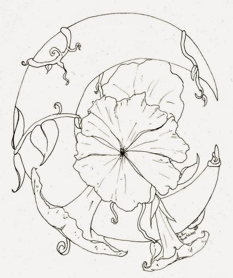 Moon Flower Tattoo Moon Flower Vine Tattoo, Moonflower Tattoo Design, Moon Flower Tattoo Designs, Moon Flower Tattoos, Moonflower Drawing, Moon Flower Drawing, Moonflower Tattoo, Flower Moon Tattoo, Moon And Flower Tattoo