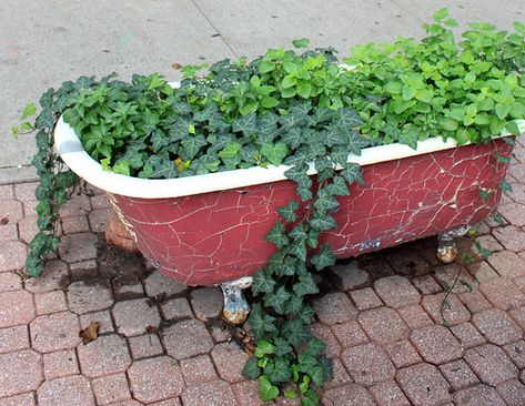 garden pot Repurposed Bathtub, Bathtub Planter, Bathtub Garden, Property Entrance, Garden Bathtub, Unique Flower Pots, Old Bathtub, Small Pond, Garden Vines