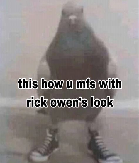 #memesdaily #funny tiktok real rx rick owens fashion memes pigion funny roblox animals Rick Owens Aesthetic, Rick Owens Ramones, Outta Pocket, Rick Owens Fashion, Laugh Or Die, Funny Tiktok, Reaction Images, Goofy Ahh, Funny Fashion