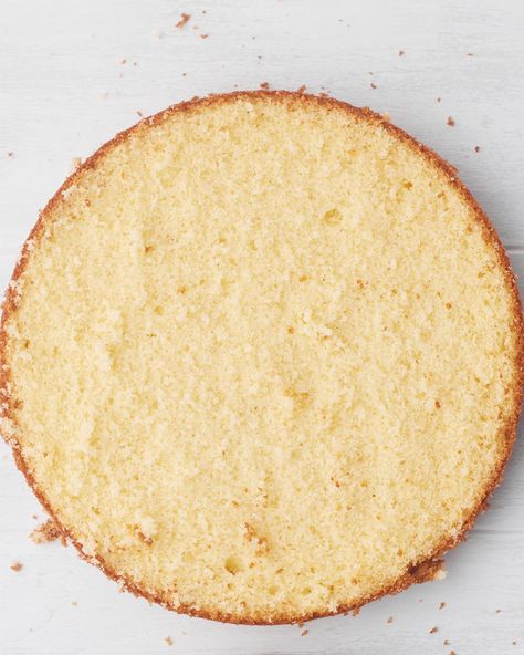 Korean Genoise Cake, Cake Sponge Recipe, Bonni Bakery, Genoise Sponge Cake, Genoise Cake, Fluffy Sponge Cake, Genoise Sponge, Lemon Sponge Cake, Sponge Recipe