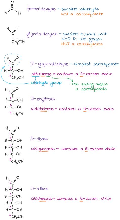 Nomenclature of Carbohydrates (the Fundamentals) — Organic Chemistry Tutor Organic Chemistry Humor, Organic Chemistry Cheat Sheet, Chemistry Molecules, Organic Chemistry Tutor, Organic Chemistry Notes, Organic Chemistry Reactions, Biochemistry Notes, Organic Chemistry Study, Chemistry Basics