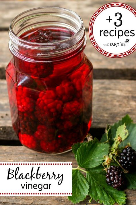 Blackberry vinegar is a beautiful way to preserve a summer bounty of berries! Learn how to make blackberry vinegar, then use it in a tasty fruit dip, main dish meal, and homemade salad dressing. Vinegar Recipes, Flavored Vinegar Recipes How To Make, Blackberry Vinegar, Blackberry Pulp Uses, Blackberry Vinegar Recipes, Herbal Vinegar, Flavored Vinegars, Infused Vinegars, Foraging Recipes