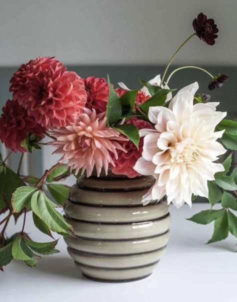 Dahlia Flower Arrangements, Sustainable Flowers, Flower Reference, Indoor Flowering Plants, Dahlias Garden, Growing Dahlias, Collection Board, Fall Floral Arrangements, Flower Arrangements Simple