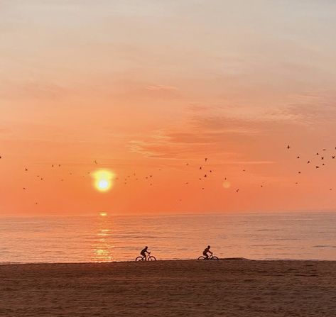 Sunset Bike Ride Aesthetic, Beach Biking, Beach Bike Ride Aesthetic, Beach Bike Aesthetic, Beach Bike Ride, Bike Ride Aesthetic, Beach Rats, Bike Aesthetic, Coffee Bike