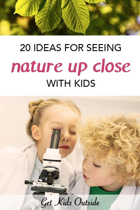 Ideas for nature items you can look up close with children. From using a regular or pocket microscope add a new layer of fun to your nature studies to learn more about biology and the natural world.  All kids love nature and love seeing new details. Kids in nature | Kids science ideas | nature activities for children | microscope activities for kids Microscope Activities For Kids, Kids In Nature, Microscope Activity, Microscope For Kids, Science Microscope, Biology Activity, Conservation Activities, Pocket Microscope, Nature Ideas