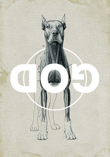 by Michael Paukner. The original dog image is by Hermann Dittrich.    © Copyright 2009 Michael Paukner. All Rights Reserved. Art Et Illustration, Dog Illustration, Dog Images, Illustrations And Posters, Pics Art, Doberman, Dog Design, Dog Art, Graphic Design Inspiration