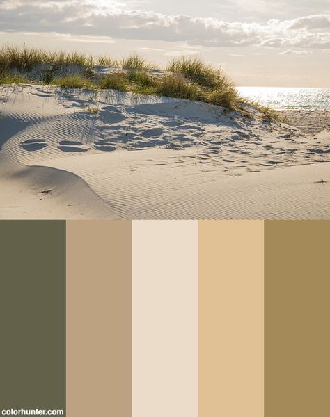 The Sandy Beach Color Scheme from colorhunter.com Sandy Colour Palette, Sand Pallete Color, Sand Color Pallete, Vintage Beach Color Palette, Sand Color Outfit, Sandy Color Palette, Bathroom Sand Color, Beach Pallet Colors, Beach Colour Palette