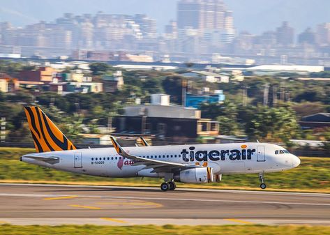 Tiger air ... Passenger, Aircraft, Vehicles