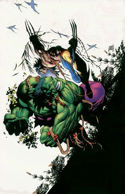 Hulk Vs Wolverine by Adam Kubert Wolverine Vs Hulk, Hulk Vs Wolverine, Adam Kubert, Hulk Art, Hulk Comic, Wolverine Art, The Incredible Hulk, Hero World, The Hulk