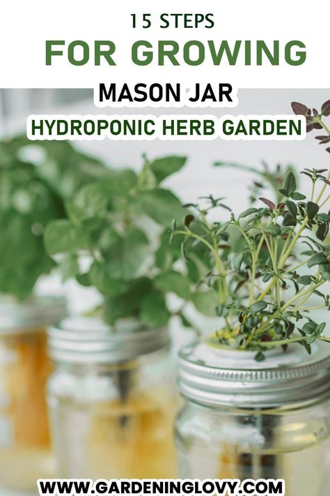 Apartment Herb Gardens, Hydroponic Strawberries, Hydroponic Herb Garden, Indoor Hydroponic Gardening, Hydroponic Gardening System, Hydroponic Vegetables, Mason Jar Herbs, Mason Jar Herb Garden, Indoor Hydroponics