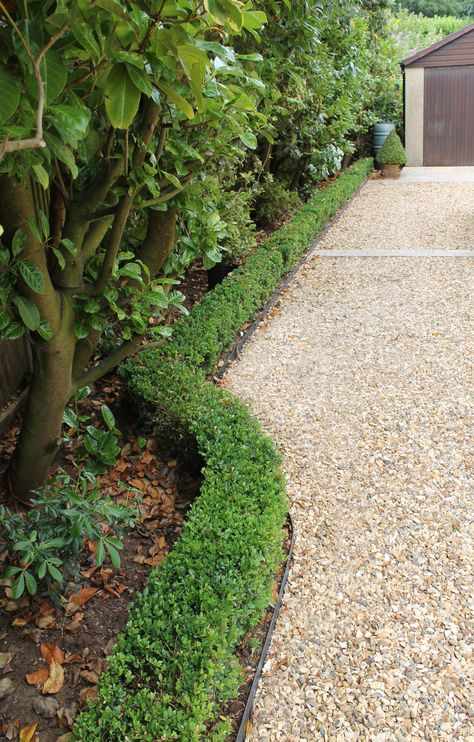 Long gravel driveway and box hedging Gravel Edging Ideas, Gravel Driveway Edging, Gravel Driveway Landscaping, Front Driveway Ideas, Front Garden Ideas Driveway, Garden Ideas Driveway, Driveway Edging, Driveway Entrance Landscaping, Laurel Hedge