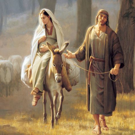 Joseph and Mary fled to Egypt Religious Pictures, A Donkey, Blessed Mother Mary, Portrait Photos, Biblical Art, Belem, Blessed Virgin Mary, Holy Family, Catholic Art