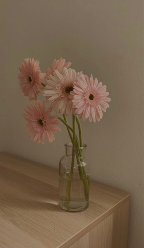 Flowers In Vase Aesthetic, Flor Aesthetic, Whatsapp Profile Wallpaper, Gerbera Flower, Pink Gerbera, Vintage Flowers Wallpaper, Aesthetic Flower, Nothing But Flowers, Pretty Landscapes