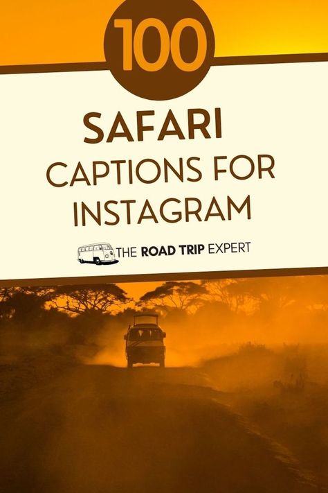 Safari Captions for Instagram Safari Captions For Instagram, Safari Quotes, Quotes For Instagram Posts, Africa Quotes, Couple Instagram Captions, Instagram Post Captions, New Adventure Quotes, Animal Captions, Captions For Instagram Posts