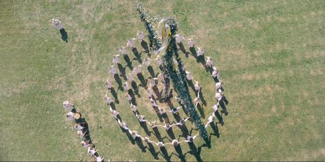 Midsommar (2019) dir. Ari Aster Horror Films, Coven, George Mackay, Psychological Horror, Love Movie, A Circle, Film Aesthetic, Film Stills, Travel Couple