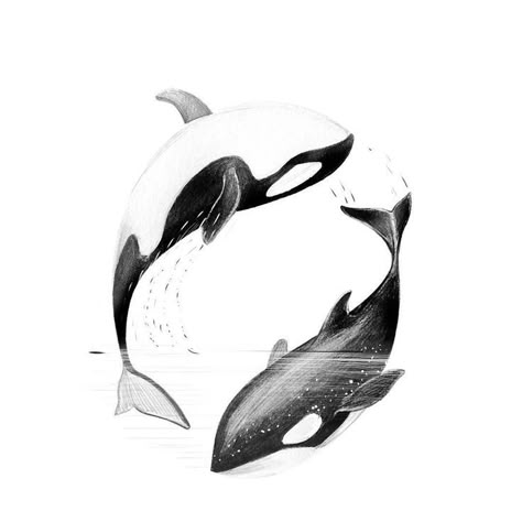 Killer Whale Tattoo, Orca Design, Orca Art, Orca Tattoo, Whale Drawing, Whale Tattoo, Whale Tattoos, Whale Art, Orca Whales