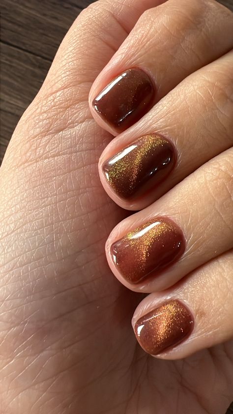 Cateyes Nails Fall, Thanksgiving Nails Cat Eye, Caramel Colored Nails, Brown Nail Polish Designs, Brown And Gold Nail Art, Cats Eye Manicure, Hufflepuff Nails Simple, Bronze Gel Nails, Brown Cats Eyes Nails