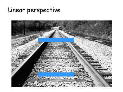 Depth Perception: Monocular cues •Linear perspective- parallel lines, like railroad tracks, appear to converge with distance. the more they converge, the greater their perceived distance. Psychology Project, Linear Perspective, Ap Psych, Depth Perception, Cognitive Psychology, Lecture Notes, Parallel Lines, Graphic Ideas, Lectures Notes