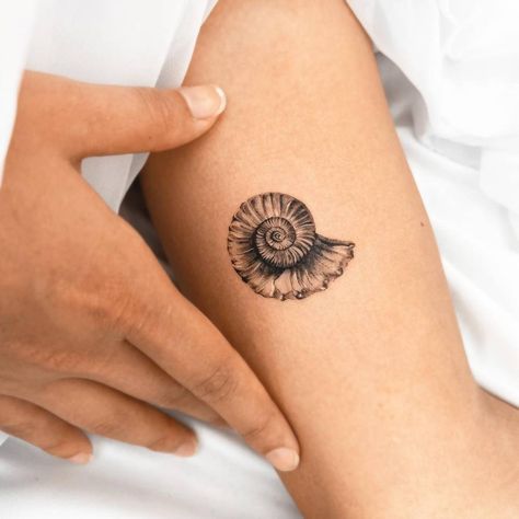 Ammonite tattoo located on the inner arm, Nautilus Tattoo Shell, Realistic Shell Tattoo, Auger Shell Tattoo, Small Fossil Tattoo, Ammonite Tattoo Fossil, Nautalis Shell Tattoo, Snail Shell Tattoo, Spiral Shell Tattoo, Nautilus Shell Tattoo