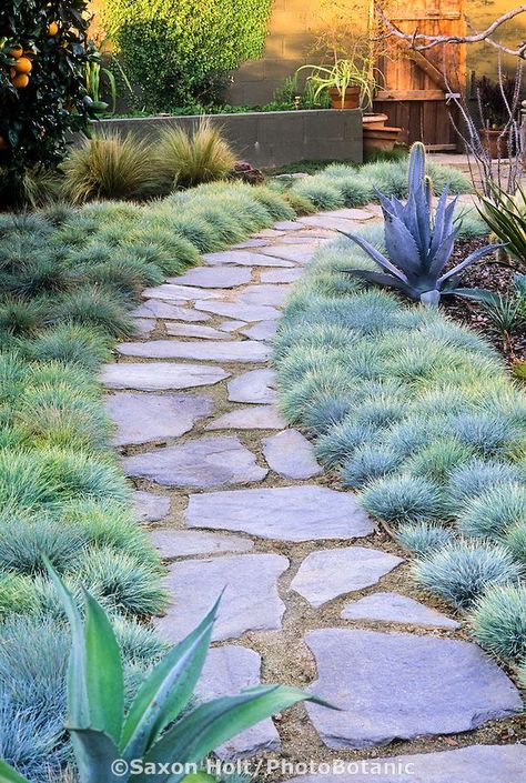 Stepping Stone Pathway, Flagstone Path, Pathway Landscaping, Walkways Paths, Garden Stepping Stones, Small Backyard Gardens, Garden Walkway, Stone Pathway, Garden Shrubs