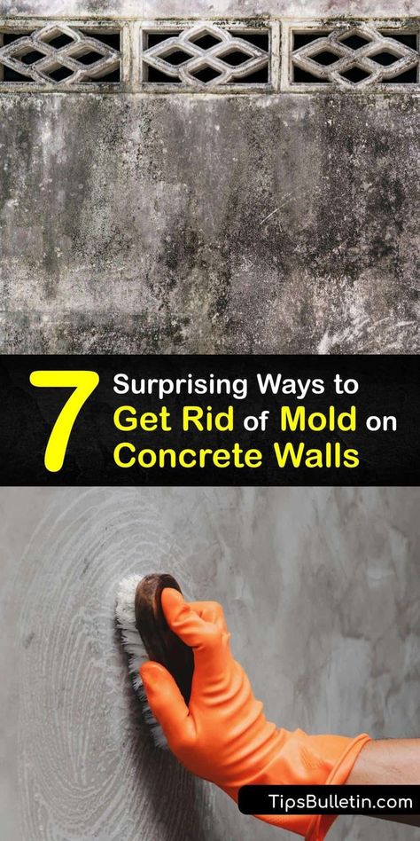 Cleaning Basement Walls, Getting Rid Of Mold On Walls, How To Clean Basement Concrete Floor, How To Get Rid Of Mold In Basement, Mold Remediation Diy, Cinder Block Basement, Remove Mold From Walls, Mold In Basement, Remove Mold Stains