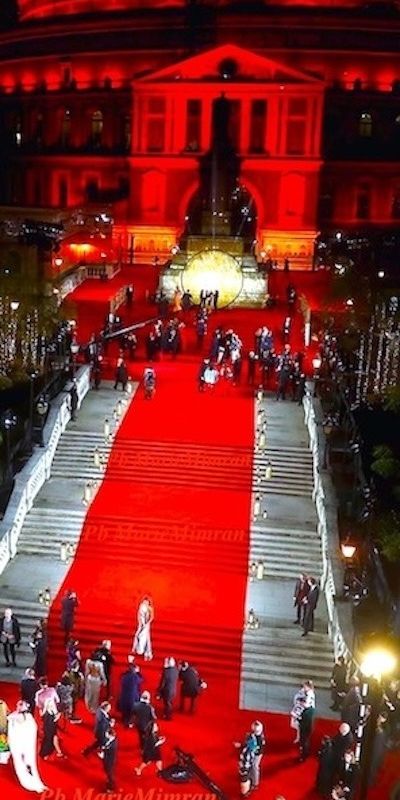 Met Gala Carpet Background, Red Carpet Pictures, Red Carpet Event Aesthetic, Gala Event Aesthetic, Grammy Red Carpet Background, Red Carpet Astethic, Hollywood Red Carpet Aesthetic, Met Gala Red Carpet Background, Oscar Award Aesthetic