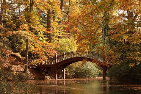 15 Signs You Go To The College Of William And Mary Pond Bridge, Claude Monet Water Lilies, William & Mary, Virginia Is For Lovers, Equestrian Facilities, College Aesthetic, Dc Travel, William And Mary, Historic Architecture