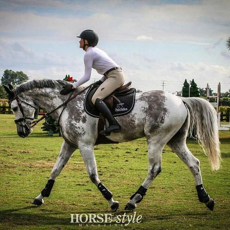 Equine Photography, Cheval Pie, Riding A Horse, Rasy Koni, Horse Crazy, Sport Horse, Horse Equestrian, Style Magazine, Cute Horses