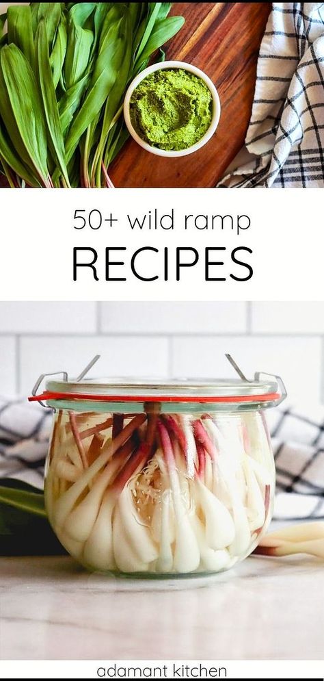 Embrace the season with over 50 wild ramp recipes. Ramps, the cherished wild leeks of spring, offer a unique flavor to any dish. These foraging recipes are a testament to the beauty of harvesting your own food. Perfect for anyone looking to explore the world of wild food foraging. From pickled ramps to wild ramp pesto! Find more whole food recipes, real food recipes & healthy recipes at adamantkitchen.com. Ramp Recipes, Ramps Recipe Dishes, Ramps Recipe, Dehydrated Leeks, Wild Ramp Recipes, Wild Ramp Butter, Ramp Pesto Recipe, Ramp Recipes Wild, Pickled Ramps