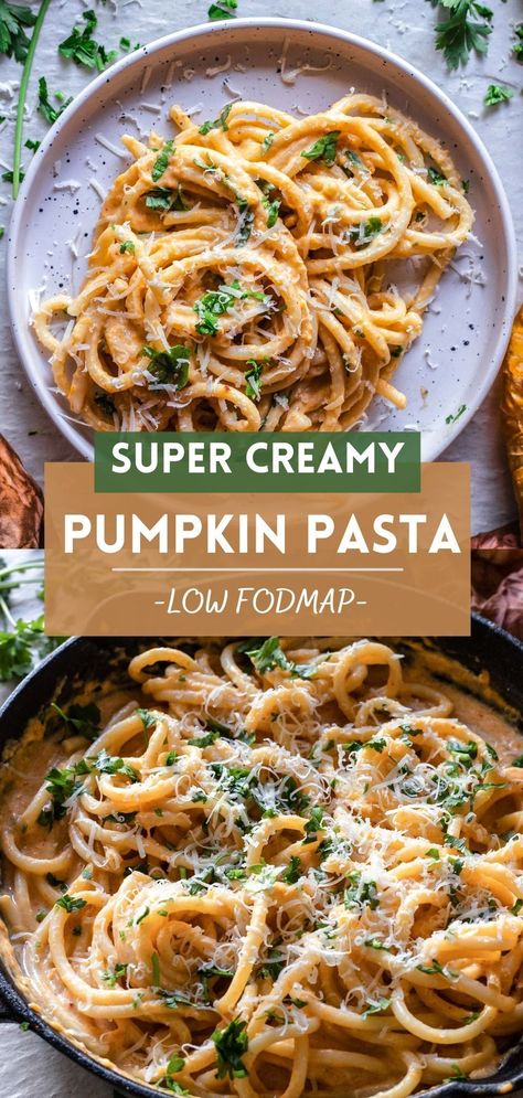 Low Fodmap Creamy Pasta, Low Fodmap Fall Soup, Fodmap Pumpkin Recipes, Low Fodmap Pumpkin Soup, Fodmap Fall Recipes, Low Fodmap Holiday Recipes, Fodmap Recipes Vegetarian, Low Fodmap Dinner Vegetarian, Low Fodmap Soups Gluten Free