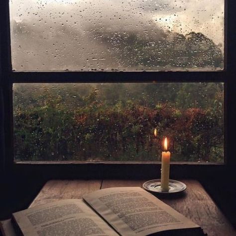 aesthetic - rainy day - الصفحة 2 - Wattpad Haunted Tree, Love Rain, Autumn Aesthetic, Rainy Days, Ever After, Rainy Day, Feng Shui, Autumn Leaves, Ramen