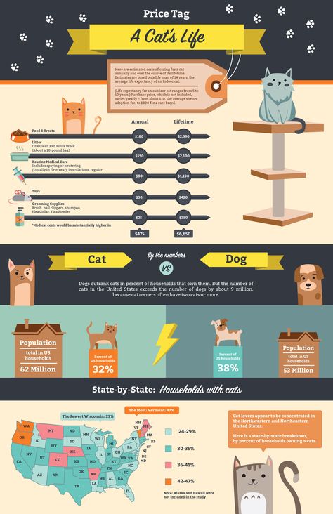 Infographic - Price Tag: A Cat's Life Cat Infographic, Dog Infographic, Portfolio Inspiration, Treat Recipe, Price Tag, Cat Life, Dog Cat, Portfolio, Illustrations