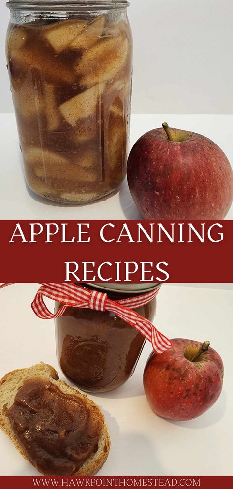 Apple harvest season in the fall is so much fun and there is so many things to do with apples! Apple picking at a local apple orchard is a great fall activity.  Canning apple recipes result in great gifts! Preserving the bounty of the apple harvest to enjoy all winter or all year long is a great way to save money. And these apple canning recipes can be made in minutes. Canning Spiced Apple Rings, Preserving Apples Canning, Fresh Apple Canning Recipes, Different Ways To Freeze Apples, Canning Apples Slices, Apple Preserves Recipe Canning, Different Ways To Can Apples, Canning Fried Apples, Apple Recipes Canning