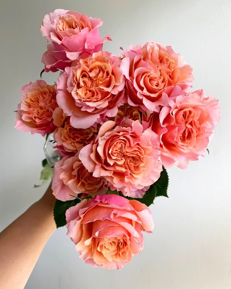 These garden roses show peach, orange, light pink, and raspberry in their many folding petals. Spring Flower Arrangements, Rose Varieties, Nothing But Flowers, Cut Flower Garden, Pink Garden, Flower Therapy, Flower Names, Japanese Flowers, Orange Roses