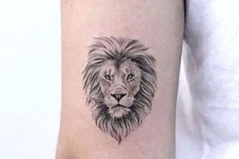 Latest 50 Small Tattoo Designs for Women and Their Meanings - Tips and Beauty Fineline Lion Tattoo, Small Tattoo Designs For Women, Simple Lion Tattoo, Palm Size Tattoos, Small Lion Tattoo, Ear Tattoo Ideas, Forearm Band Tattoos, Women Tattoos, Leo Tattoos